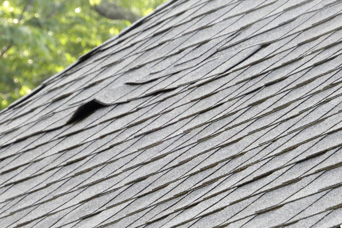A roof with a visible hole in the center, featuring a small bird perched on top.
